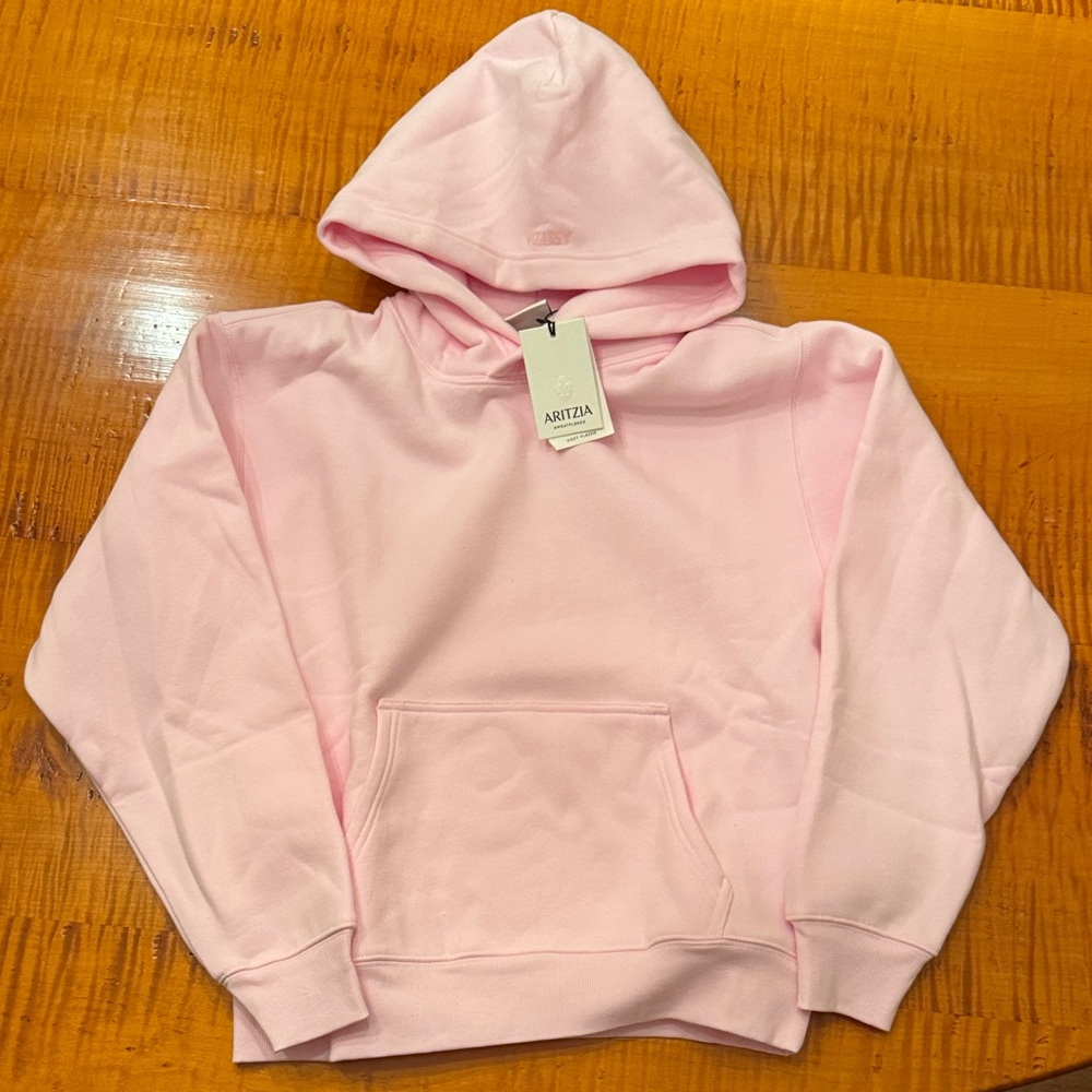 Aritzia Blush Pink Pullover Hoodie